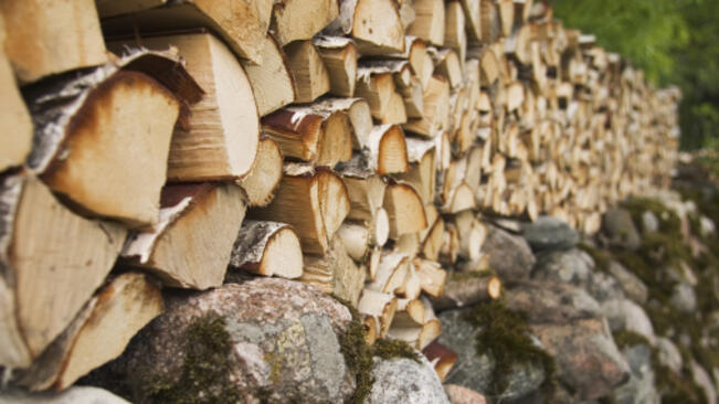 Незаконна дървесина в Славяново