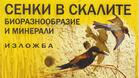 Русенска изложба гостува в София 