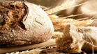 Хлябът няма ГМО, твърди експерт