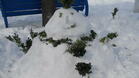Благотворителен търг на снежни фигури в Русе