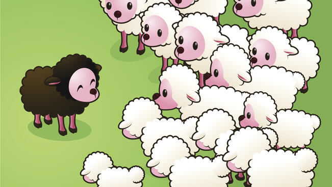 Каква ще е годината на Дървената овца според зодиите?