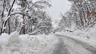 Най-много сняг е натрупал в Кнежа и Ловеч