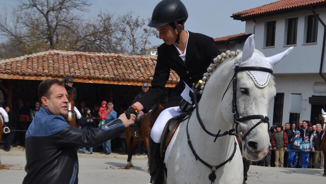 Жребецът Марк Антоний получи награда за най-гиздав кон 