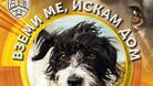 80 кучета от приюта в Душево очакват новите си стопани