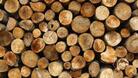 Две кражби на дърва са разкрити в РУ Велико Търново и РУ Павликени