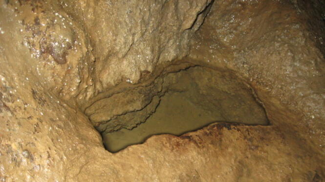 Пещера Орлова чука