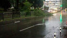 Дъждът събори две дървета в Добрич и наводни хотели в Албена