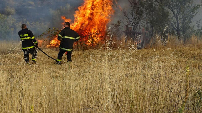 Три пожара вдигнаха по тревога горските стражари