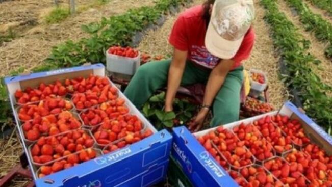 Обучение за земеделски производители в Силистра
