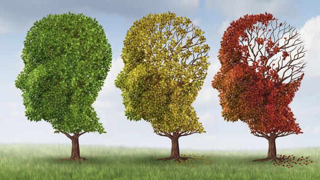 Учени откриха първопричината за болестта на Алцхаймер
