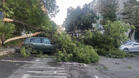 Над 120 коли пострадаха при мощна буря в Бургас, има щети по инфраструктурата, унищожени са лозя

