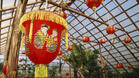 Русе празнува китайската Нова година с редица събития