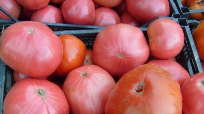 Розовият български домат ще живее