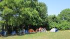 Русенчета оцеляват на скаутски лагер в Лесопарк "Липник"