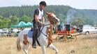 30 чистокръвни коне ще се състезават в Горни Дъбник