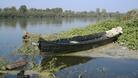 Няма опасност Дунав да наводни села
