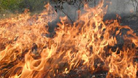 Още 7 пожара горяха за денонощие в Търновско
