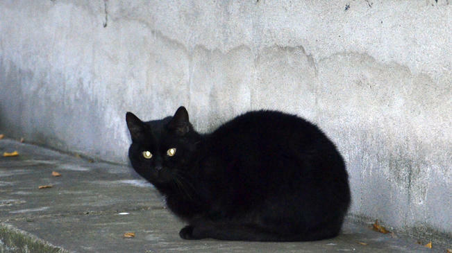 "Фаталният" петък 13-ти