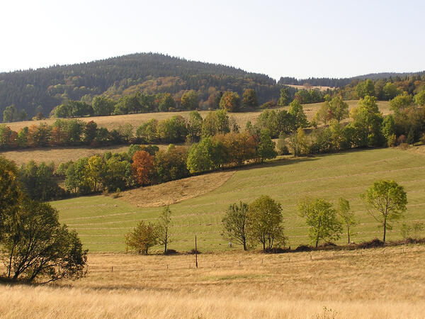 Обсъждат мораториума за продажба на земя на чужденци