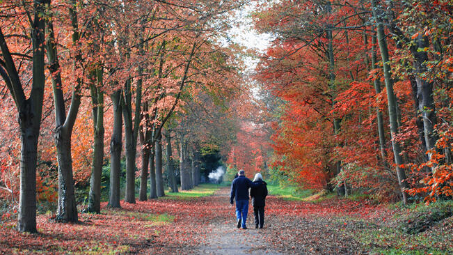 Слънце и днес