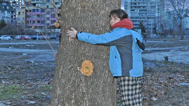 Още 4 дни гласуваме за "Дърво с корен 2013" 