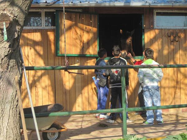 Тутракански ученици на гости на приюта в Русе