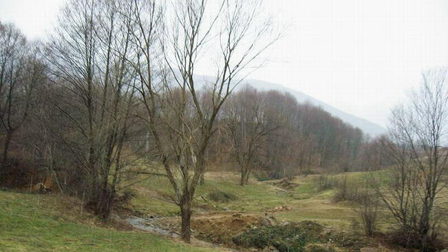 Времето без съществена промяна
