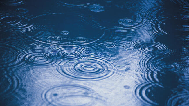 Ветровито, на места дъждовно