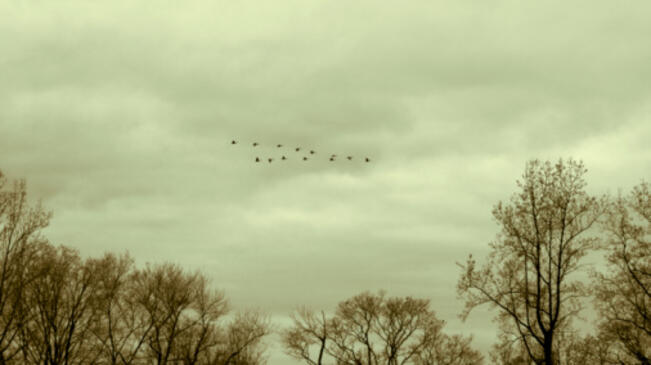 Ветровито и студено