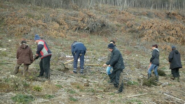 Залесиха 41 дка в Севлиево