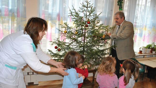 Елхи за детски ясли и социални заведения