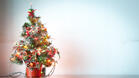 Коледната елха – символ на Рождество