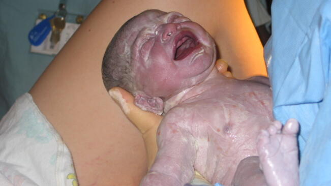 538 бебета по-малко в Централния Север за 2013 г.