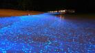 Изумителни светещи вълни на Малдивите - СНИМКИ