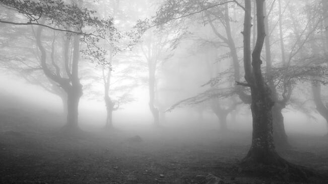 Мъглата отново се спусна над Севера