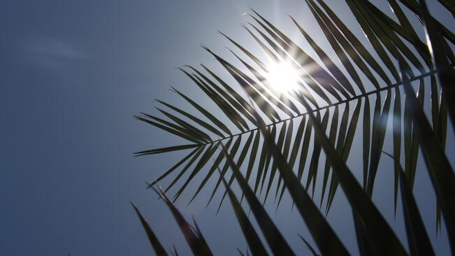 Топъл и слънчев съботен ден