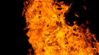 25 тона хартия изгоря в Плевенско