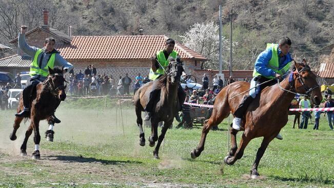 Английски коне в надпревара в Сандрово