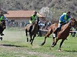 Английски коне в надпревара в Сандрово
