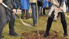 Залесяване на дворовете на училища и детски градини в Плевен