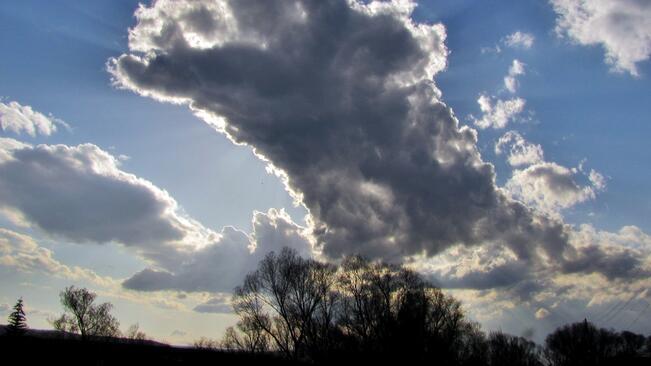 Почти без валежи в петък