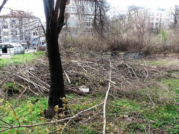 Почистване на Велико Търново