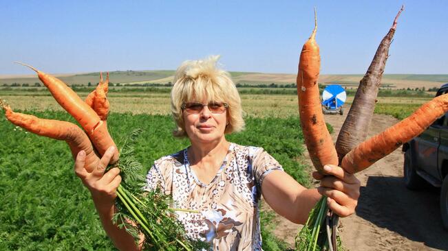 Полскотръмбешки села възраждат зеленчукопроизводството