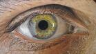 Специалист ще преглежда безплатно за очни заболявания в Ловеч