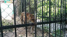 Въвеждат нови правила в зоопарка в Ловеч