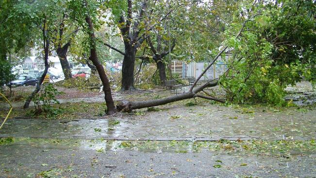 Воден ад в Берковица и Георги Дамяново - обновена