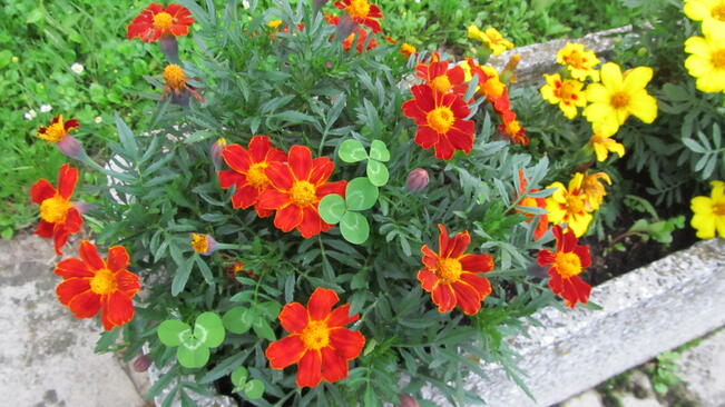 Слънчево, но есенно временце

