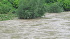 Двама удавници изплуваха от река Росица