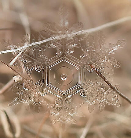 Перфектни ледени кристали - снежинките