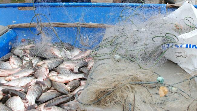Акция срещу незаконния риболов в Ловешко